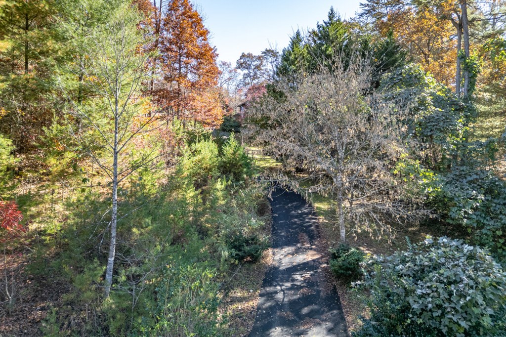 2561 Rustic Rdg Trail Young Harris, GA 30582 - Photo 58 of 85