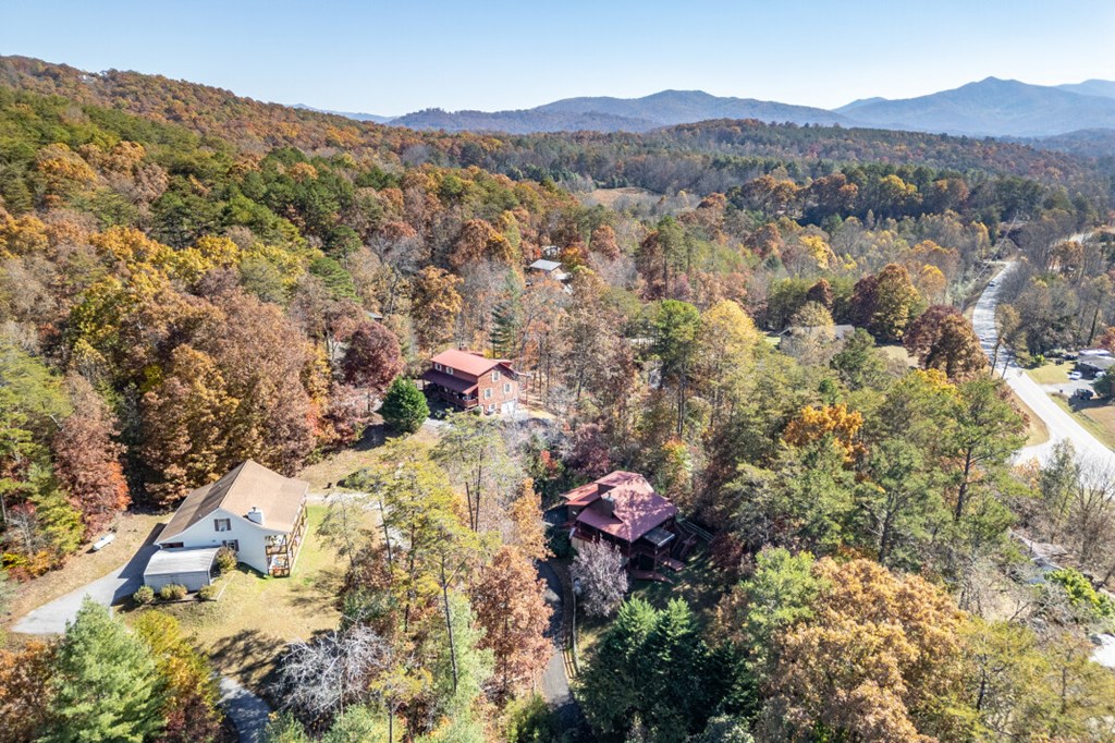 2561 Rustic Rdg Trail Young Harris, GA 30582 - Photo 60 of 85