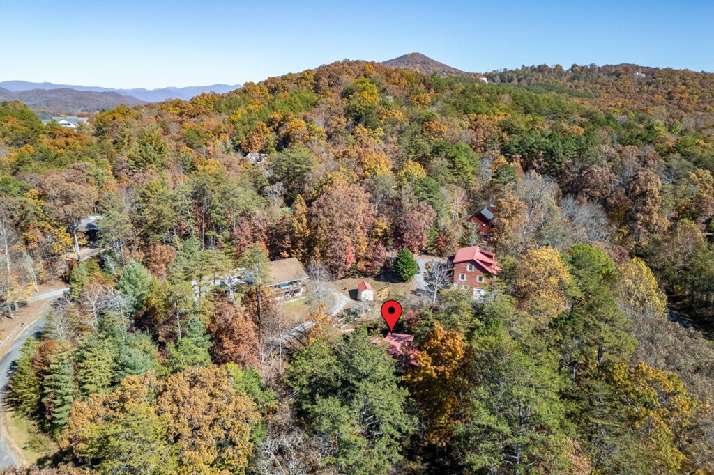 2561 Rustic Rdg Trail Young Harris, GA 30582 - Photo 61 of 85