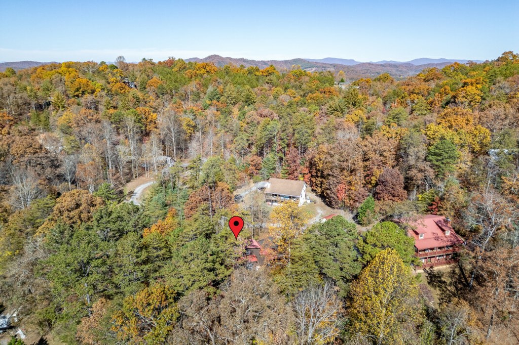 2561 Rustic Rdg Trail Young Harris, GA 30582 - Photo 62 of 85