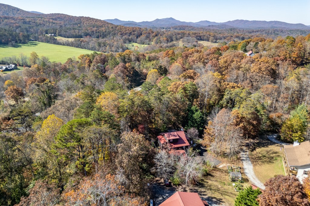 2561 Rustic Rdg Trail Young Harris, GA 30582 - Photo 63 of 85