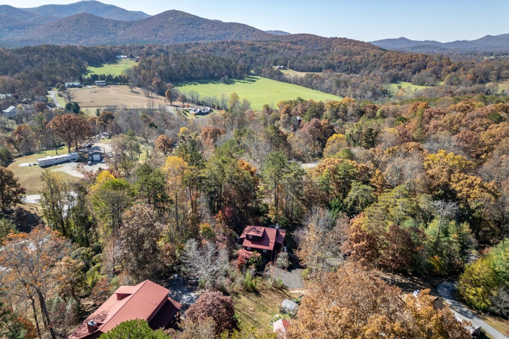 2561 Rustic Rdg Trail Young Harris, GA 30582 - Photo 65 of 85