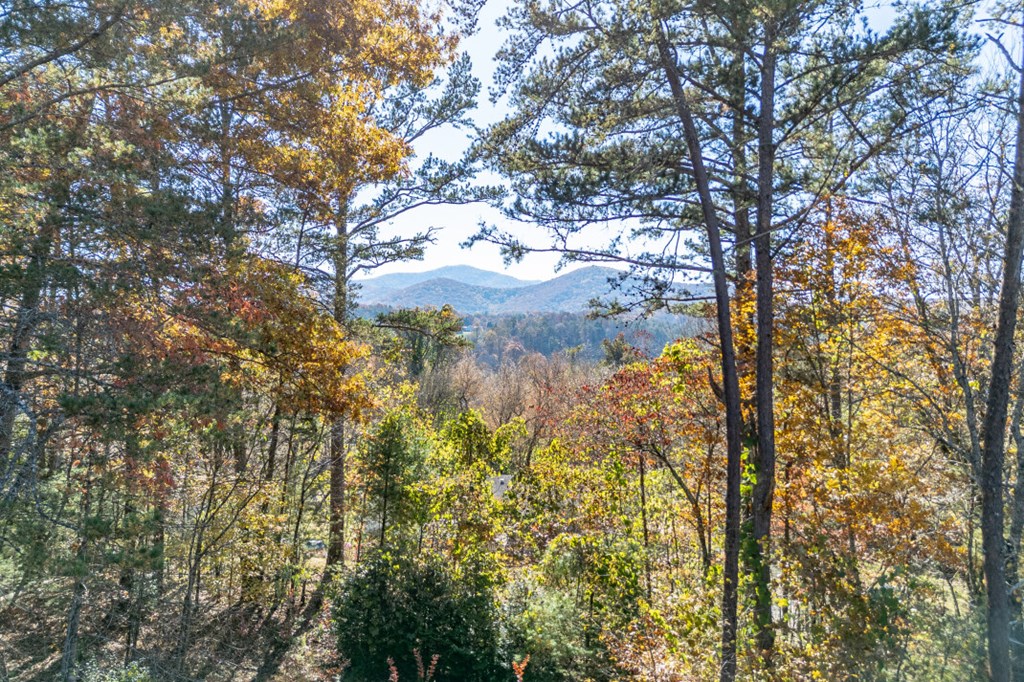 2561 Rustic Rdg Trail Young Harris, GA 30582 - Photo 82 of 85