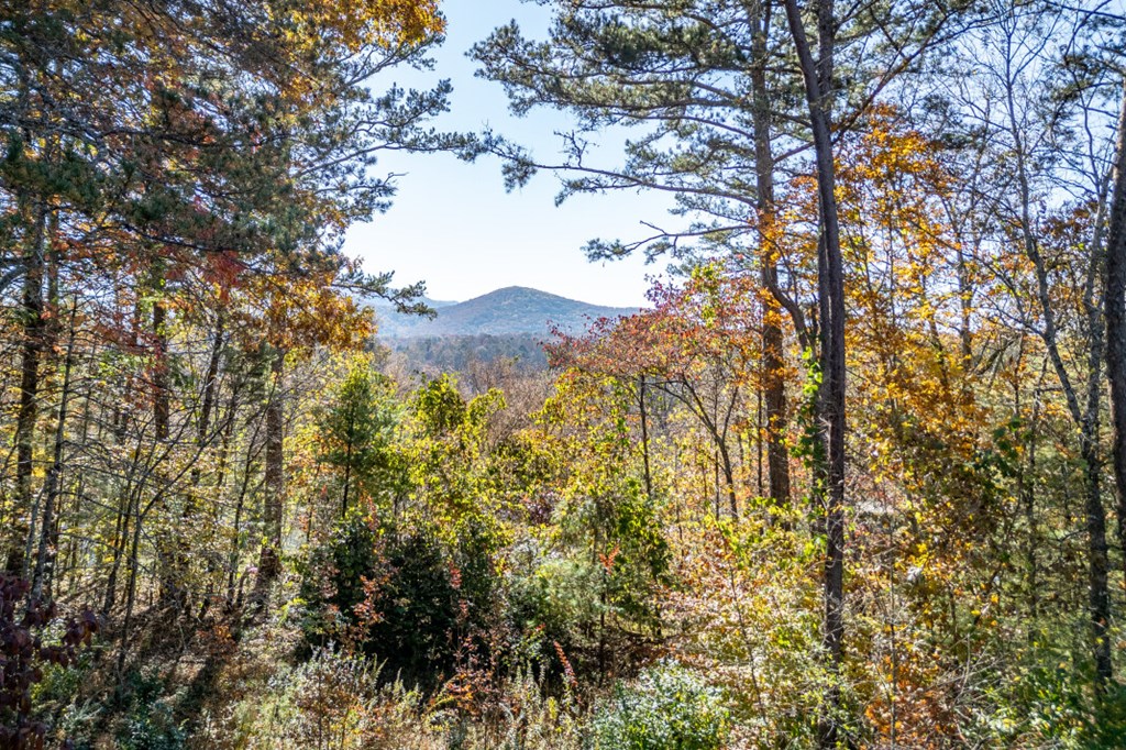 2561 Rustic Rdg Trail Young Harris, GA 30582 - Photo 83 of 85