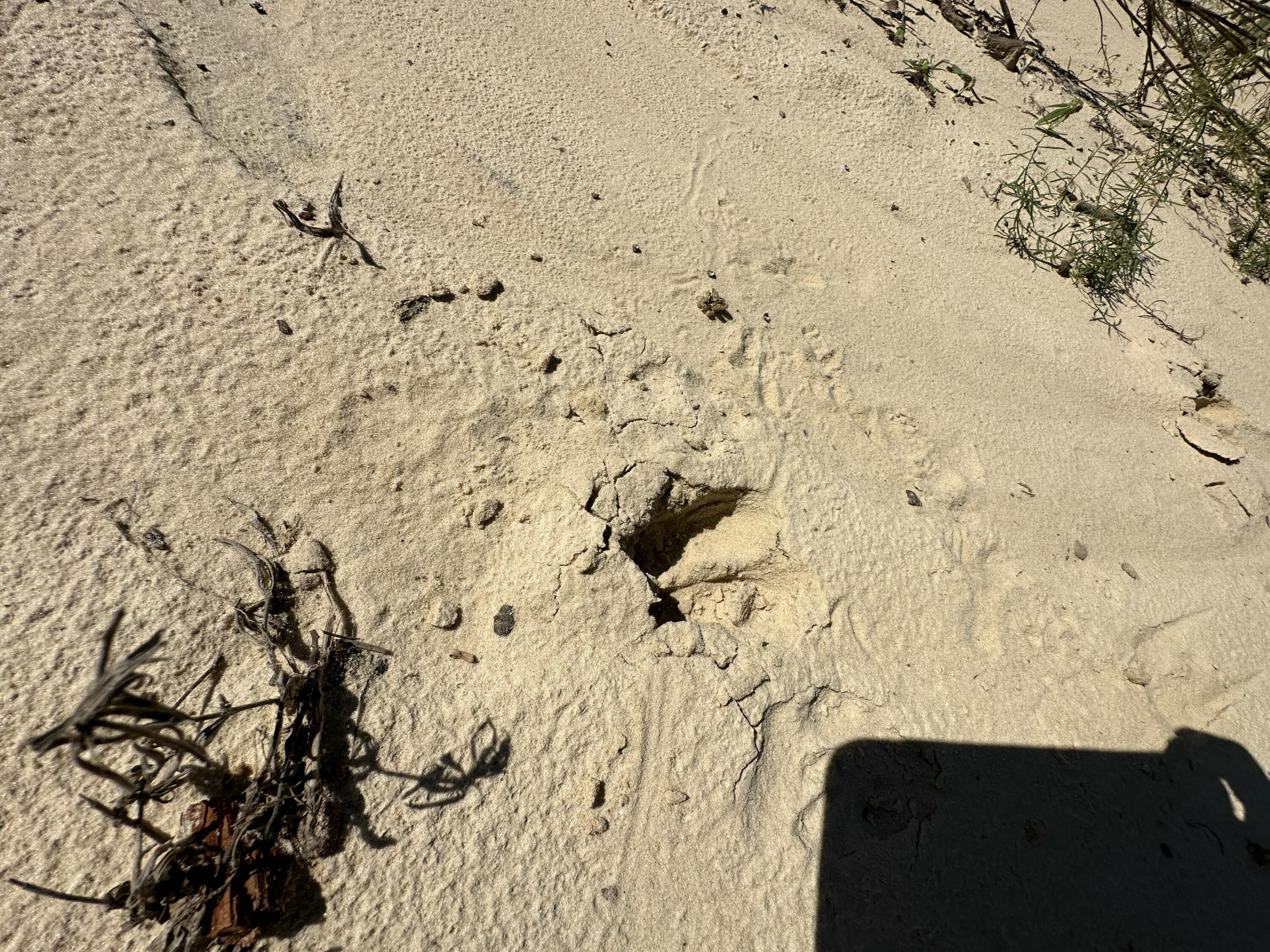 Parcel A Millside Road Laurel Hill, FL 32567 - Photo 10 of 13