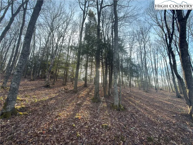 $100,000 | Linwood Lane, Newland, NC 28657