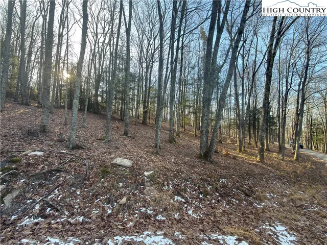 $100,000 | Linwood Lane, Newland, NC 28657