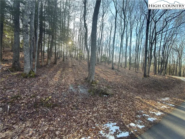 $100,000 | Linwood Lane, Newland, NC 28657