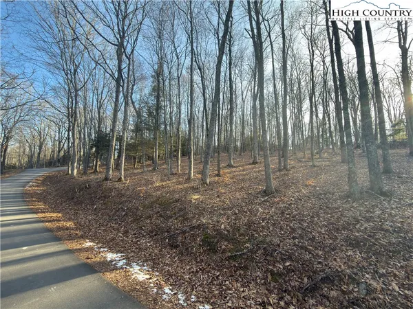 a view of outdoor space with trees