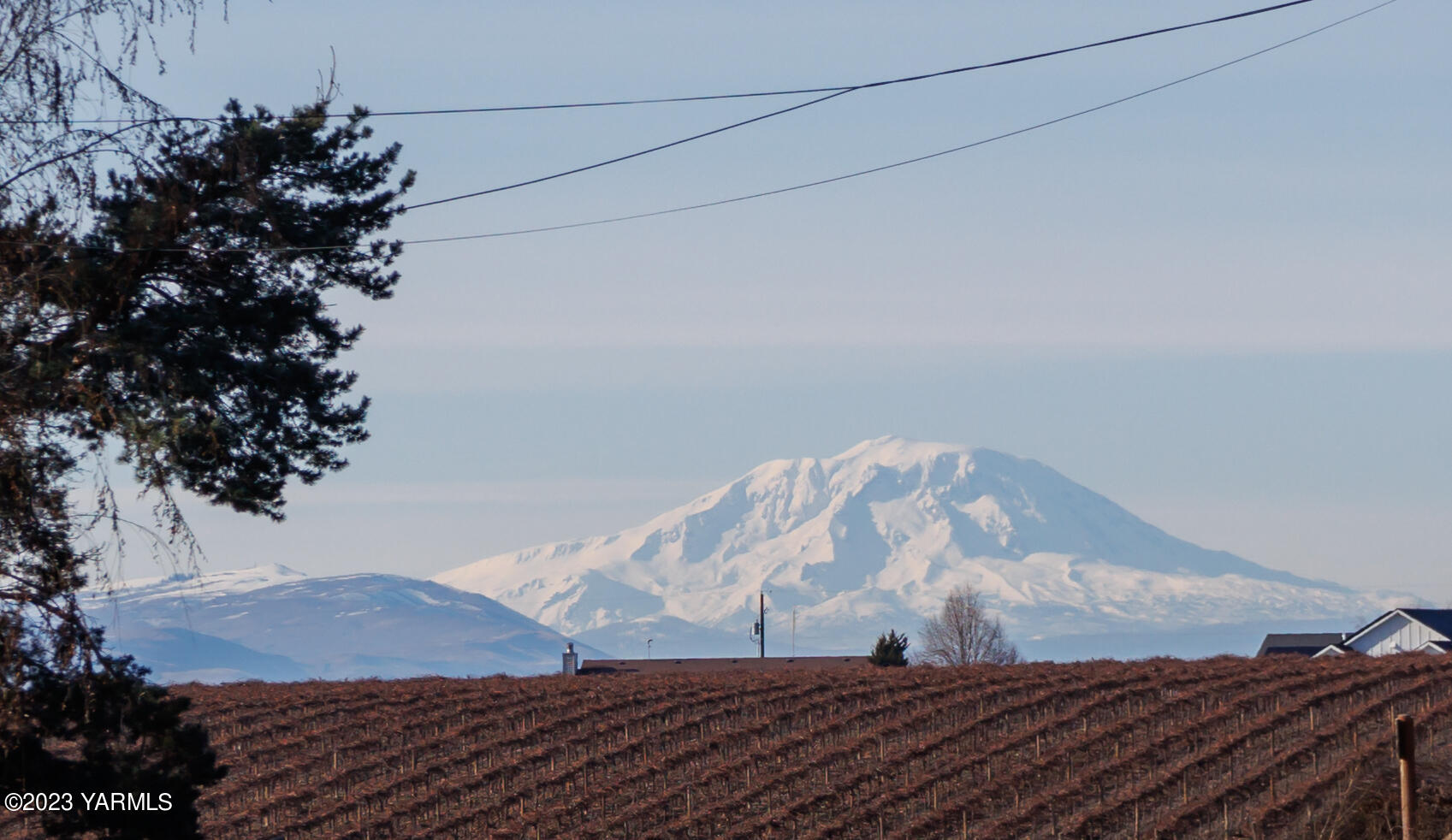 2231 Arrowsmith Road Sunnyside, WA 98944 - Photo 3 of 49