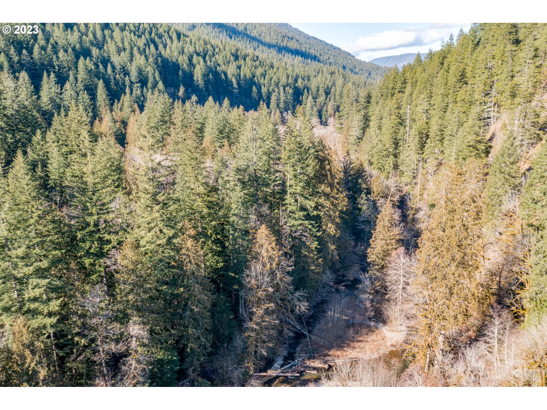 30064 Road 12 Rhododendron, OR 97049 - Photo 22 of 32 Gallery Image 22