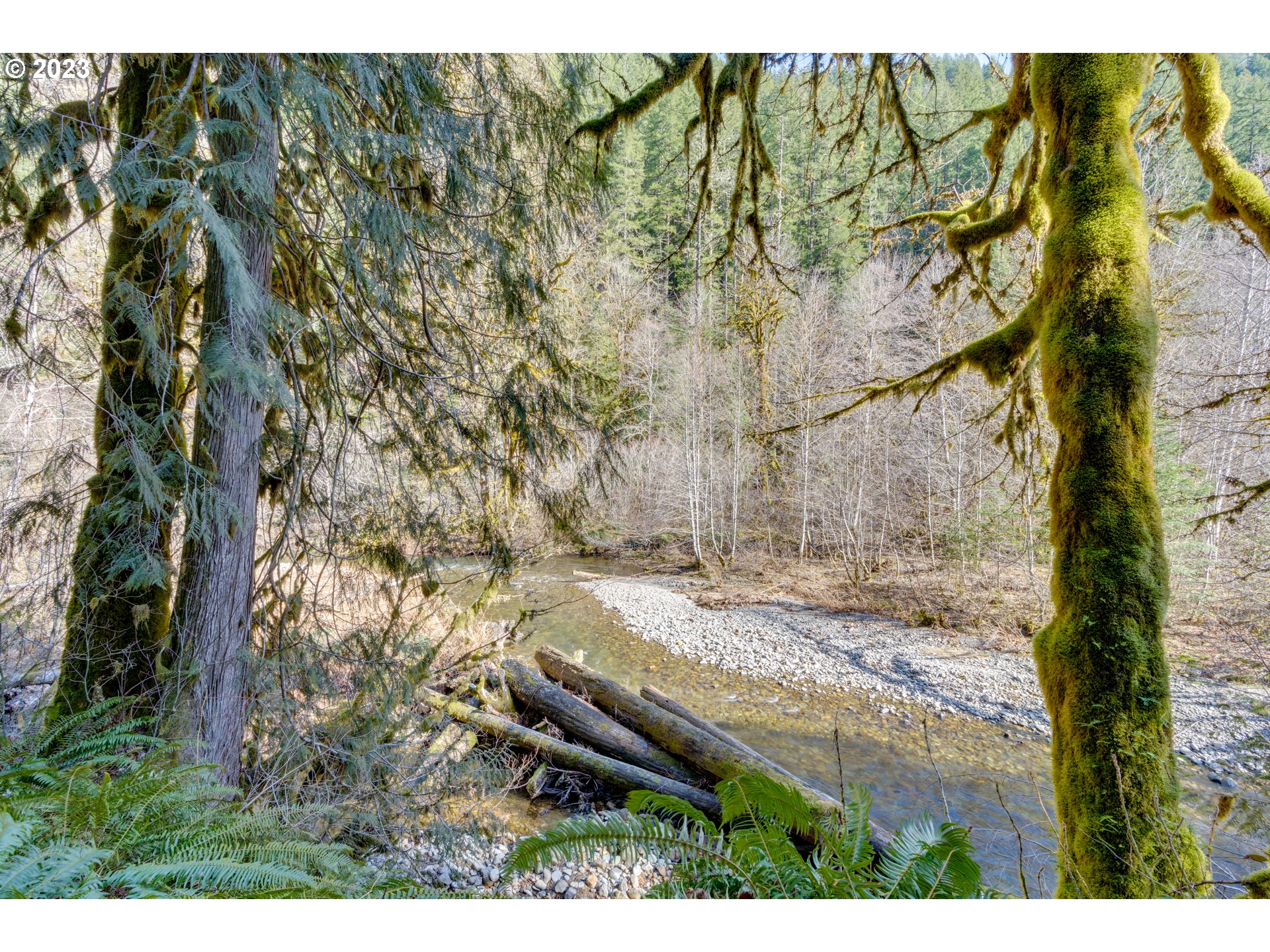 30064 Road 12 Rhododendron, OR 97049 - Photo 26 of 32 Gallery Image 26