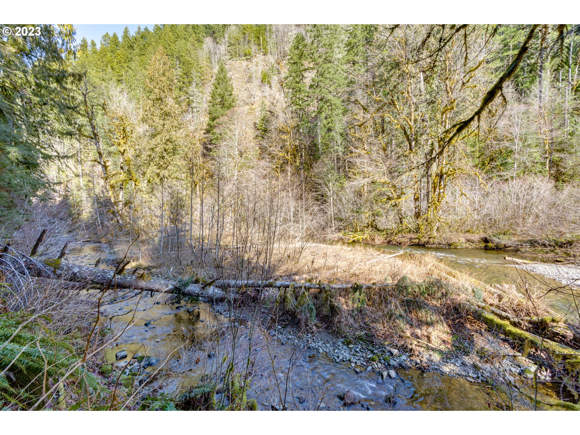30064 Road 12 Rhododendron, OR 97049 - Photo 27 of 32 Gallery Image 27