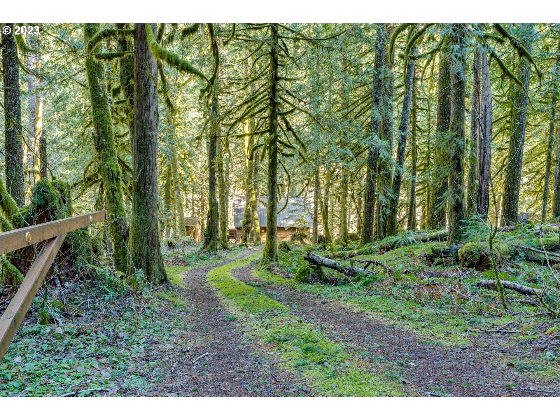 30064 Road 12 Rhododendron, OR 97049 - Photo 28 of 32 Gallery Image 28