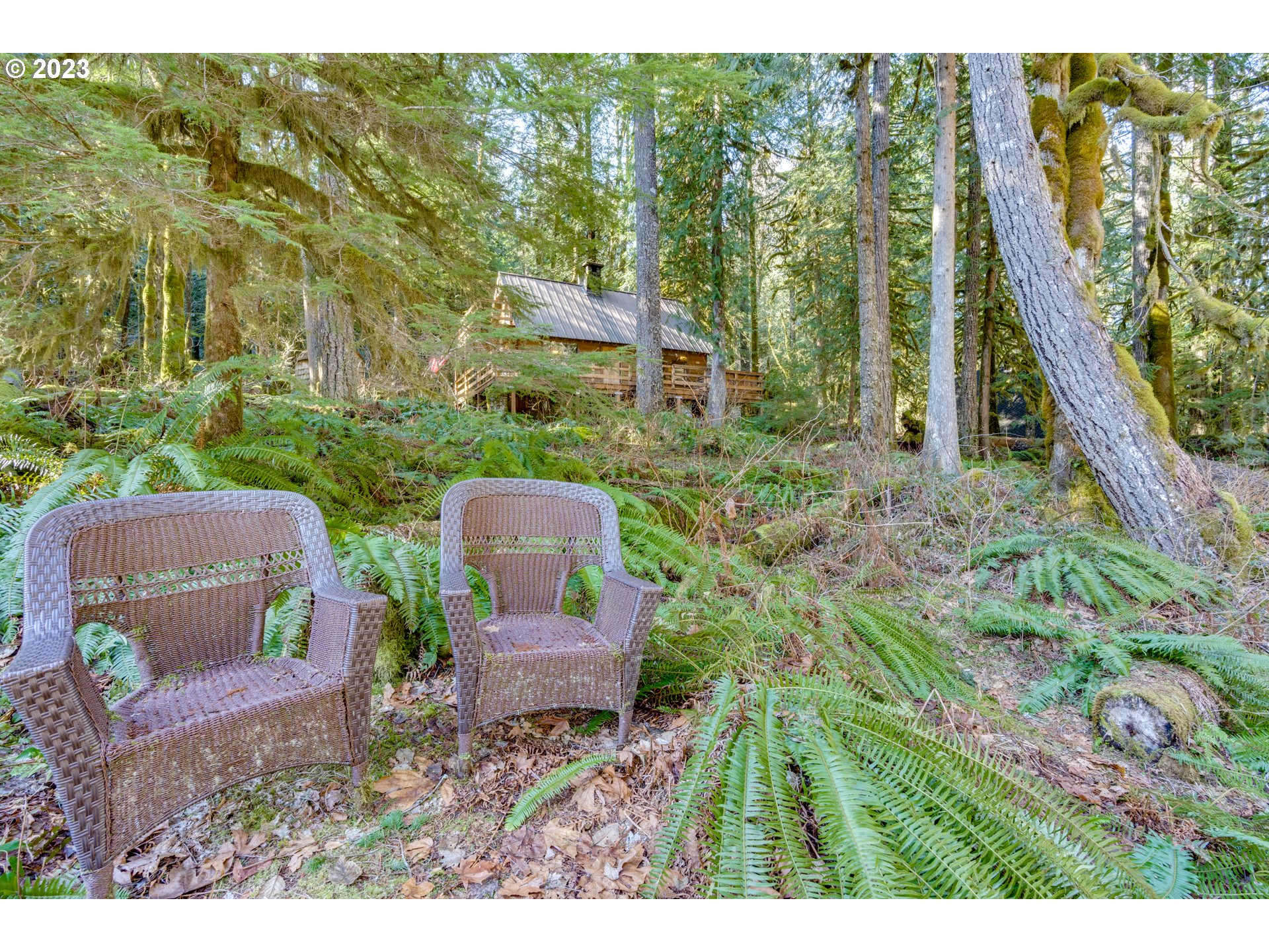 30064 Road 12 Rhododendron, OR 97049 - Photo 30 of 32 Gallery Image 30