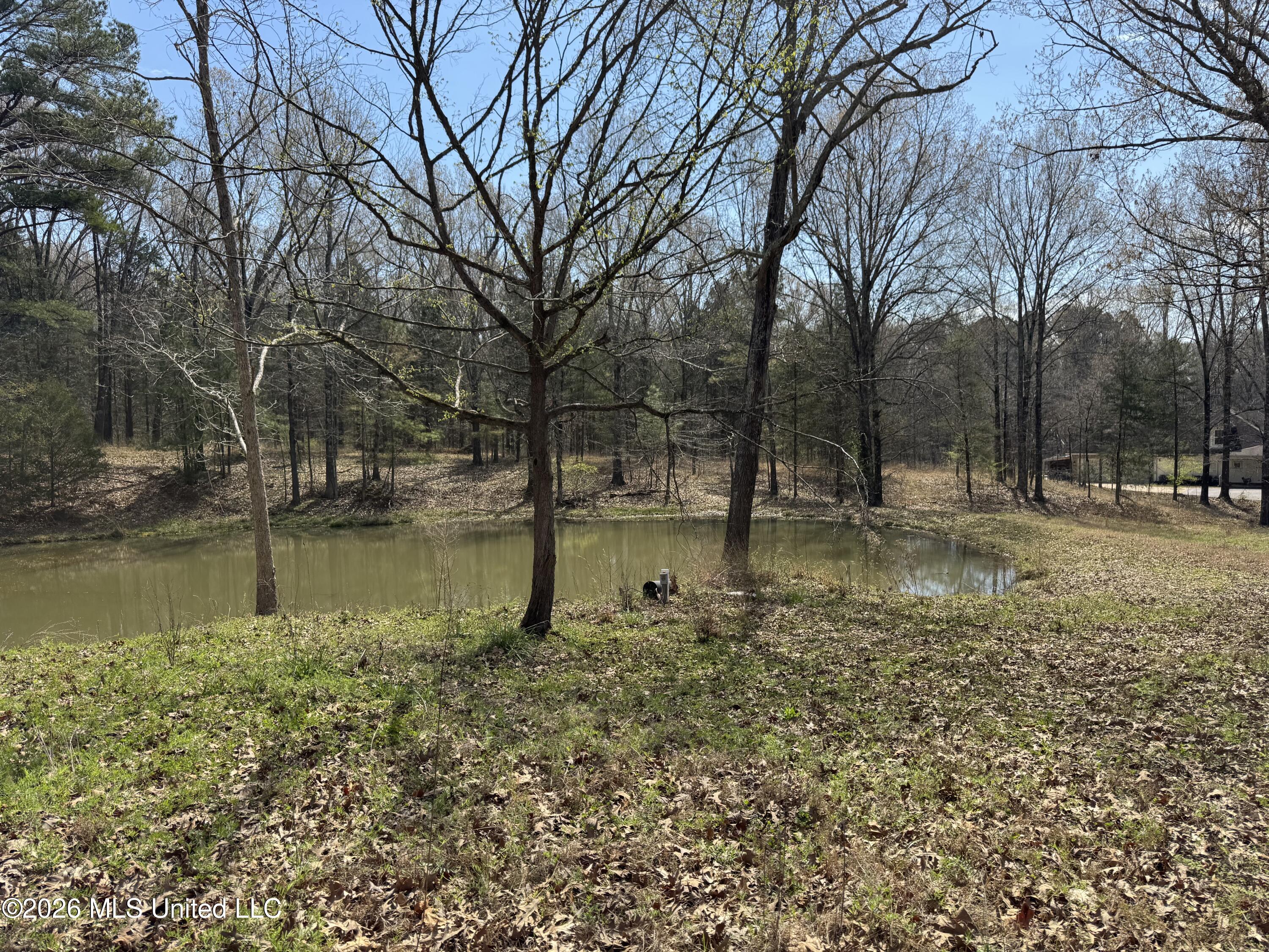0 Steele Road Hernando, MS 38632 - Photo 5 of 7 IMG_4923 (1)