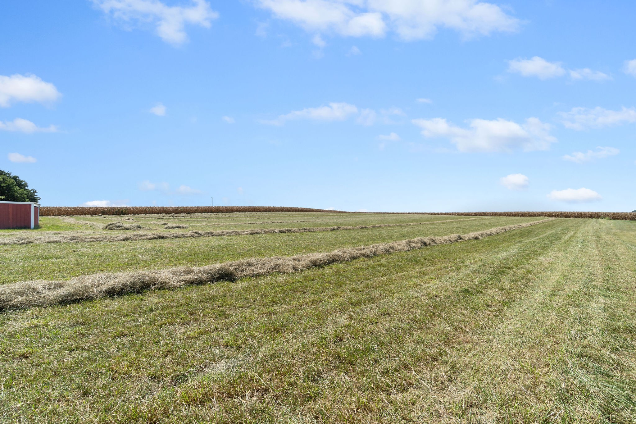 2325 Guthrie Road Guthrie, KY 42234 - Photo 38 of 38