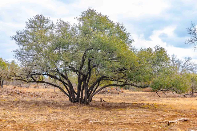 $299,000 | 0 South Fm 1174 Highway, Bertram, TX 78605