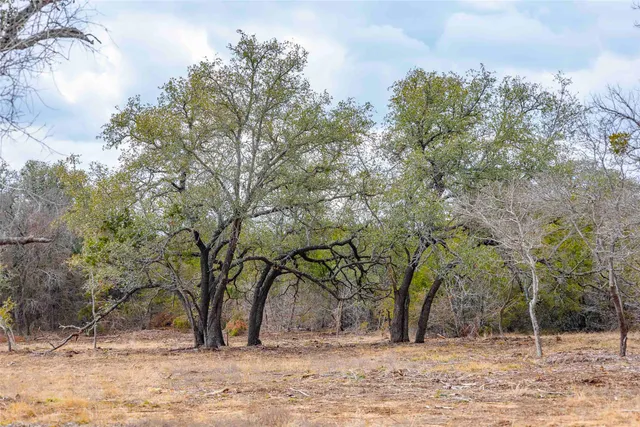 $299,000 | 0 South Fm 1174 Highway, Bertram, TX 78605