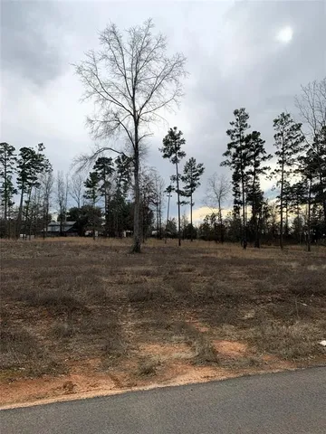 a view of dirt yard with large trees