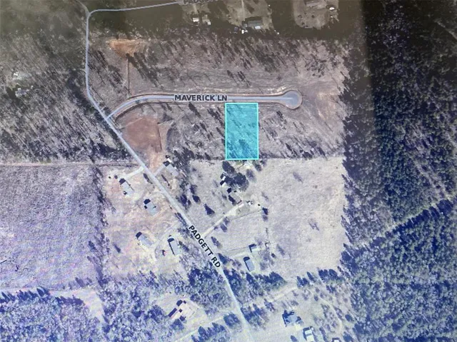 a view of a dry yard with wooden fence