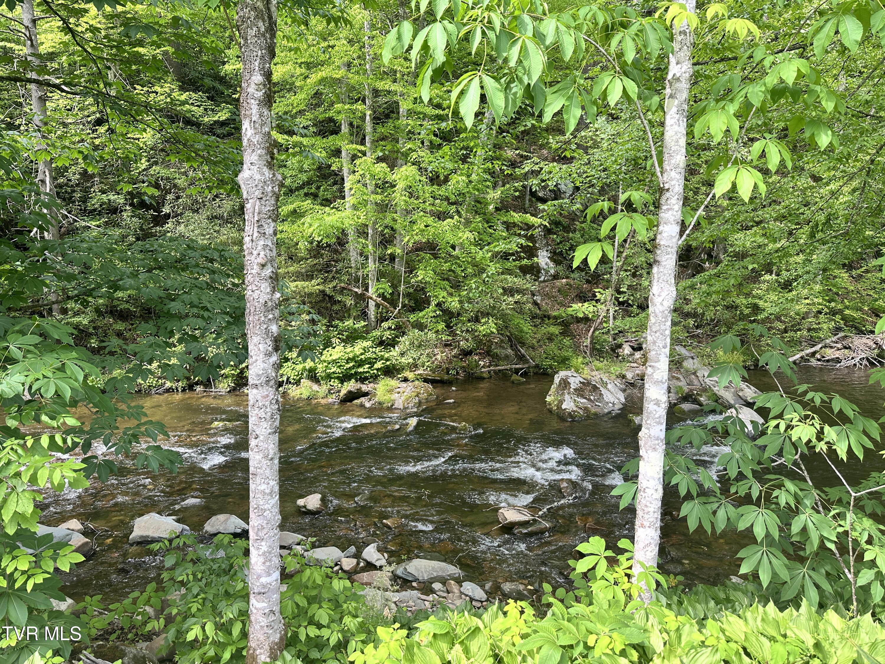 4124 Big Creek Road Hartford, TN 37753 - Photo 22 of 26 IMG_5932