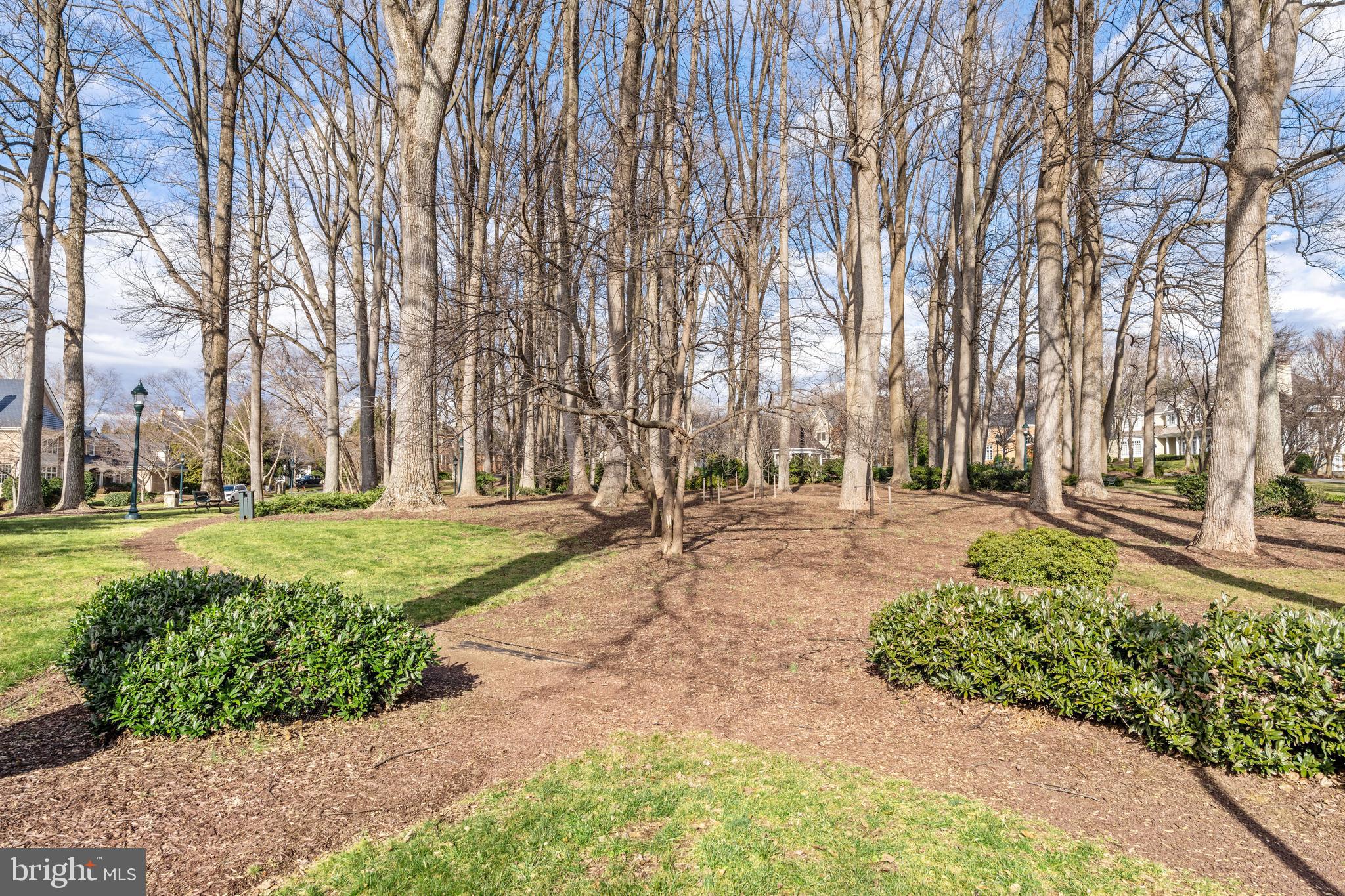 8402 Rapley Ridge Lane Potomac, MD 20854 - Photo 52 of 54