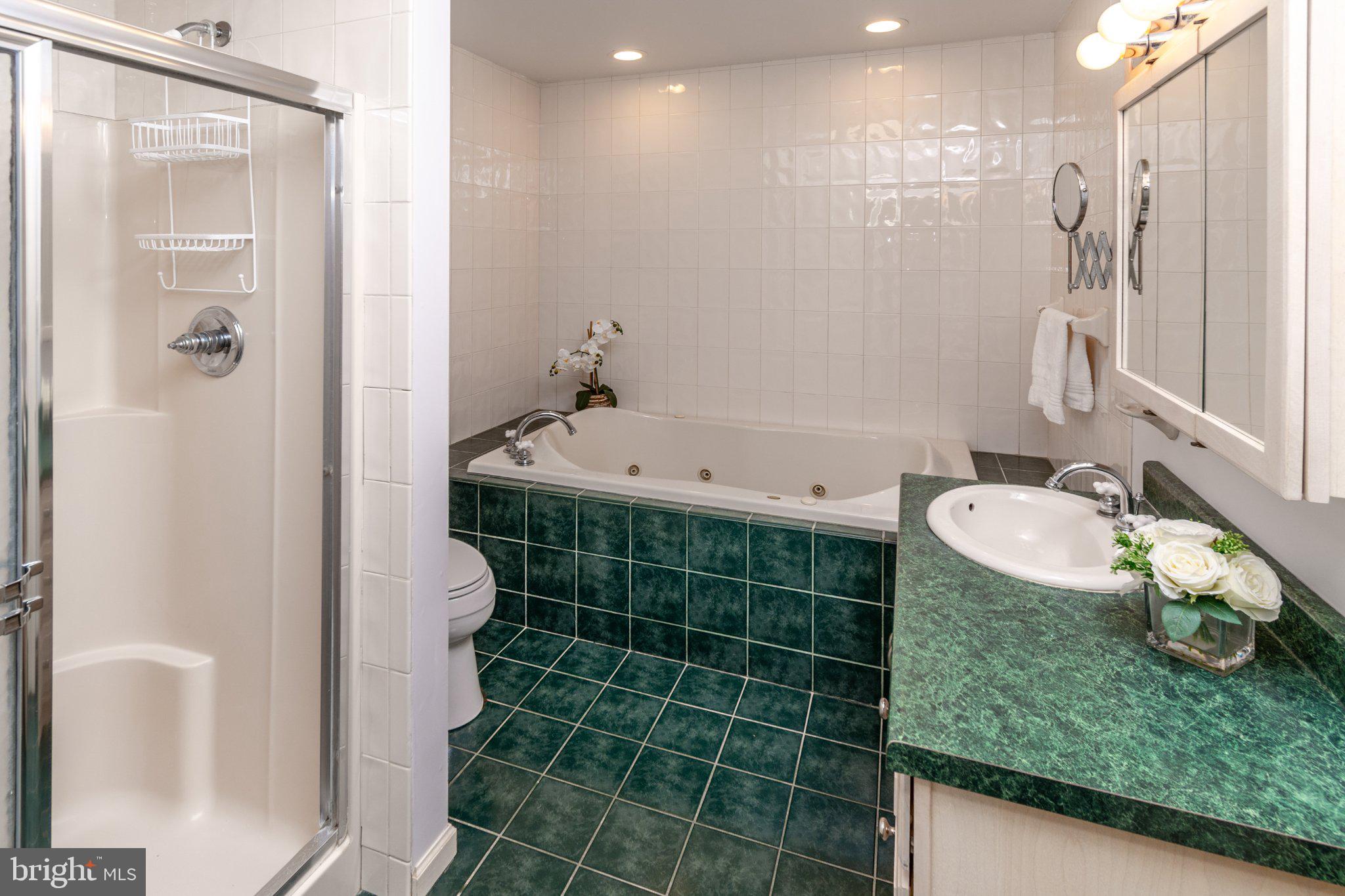 19 Floral Road Flemington, NJ 08822 - Photo 18 of 35 Elegant bathroom with spa-like features.