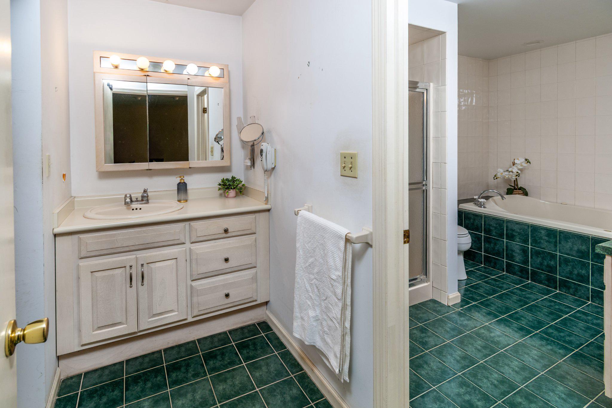 19 Floral Road Flemington, NJ 08822 - Photo 19 of 35 Serene primary bathroom