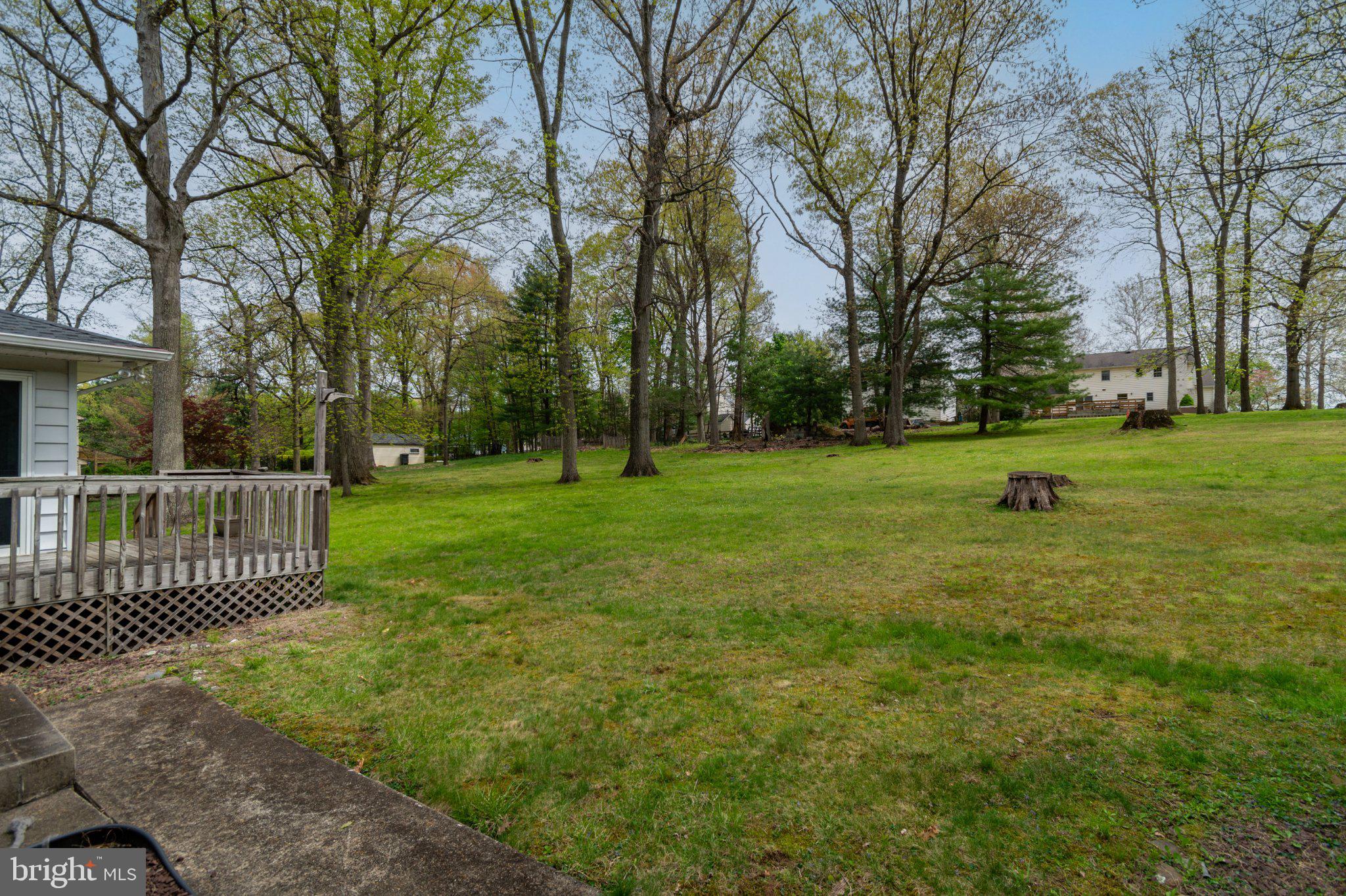 19 Floral Road Flemington, NJ 08822 - Photo 32 of 35 Spacious, serene backyard retreat.
