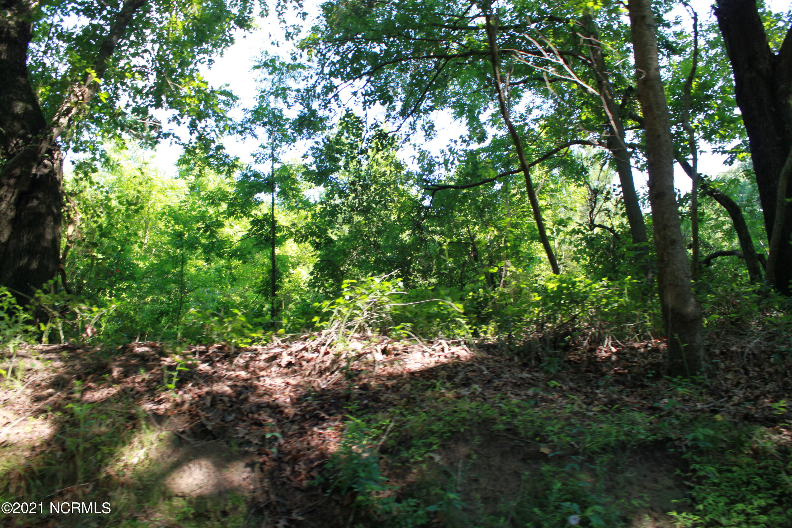 9343 Red Hill Road Clarkton, NC 28433 - Photo 11 of 11 IMG_1655