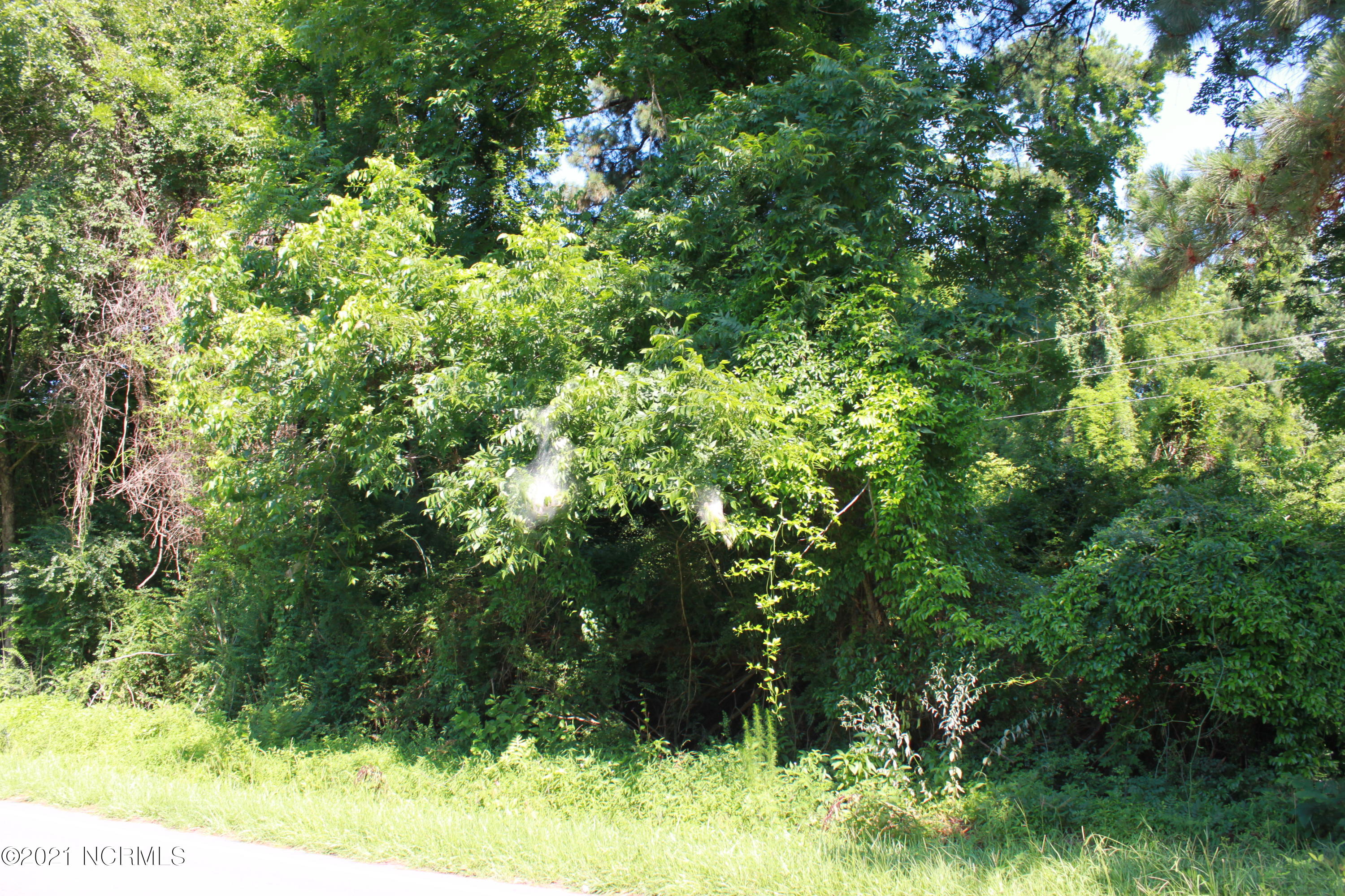 9343 Red Hill Road Clarkton, NC 28433 - Photo 2 of 11 Land