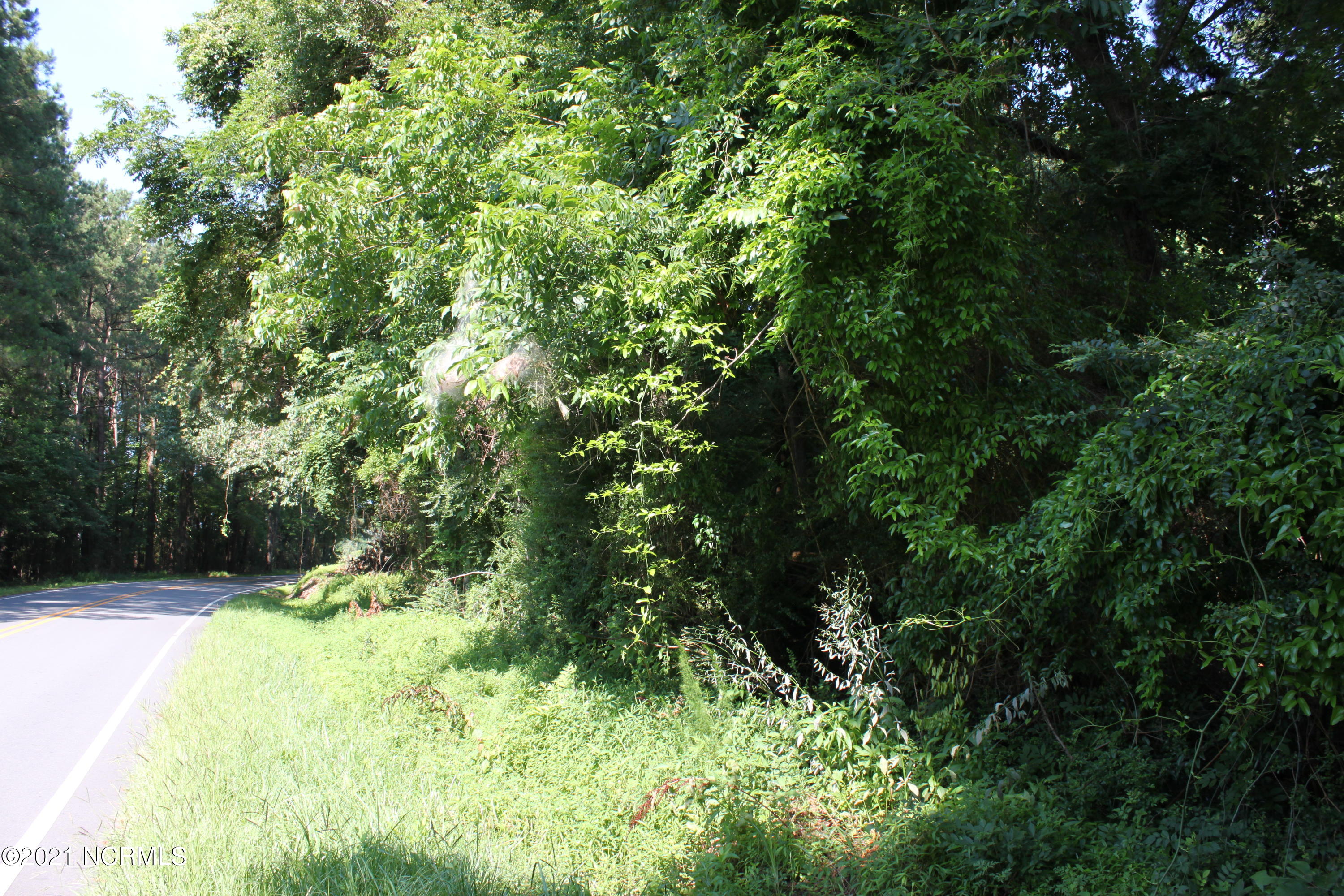 9343 Red Hill Road Clarkton, NC 28433 - Photo 3 of 11 IMG_1645