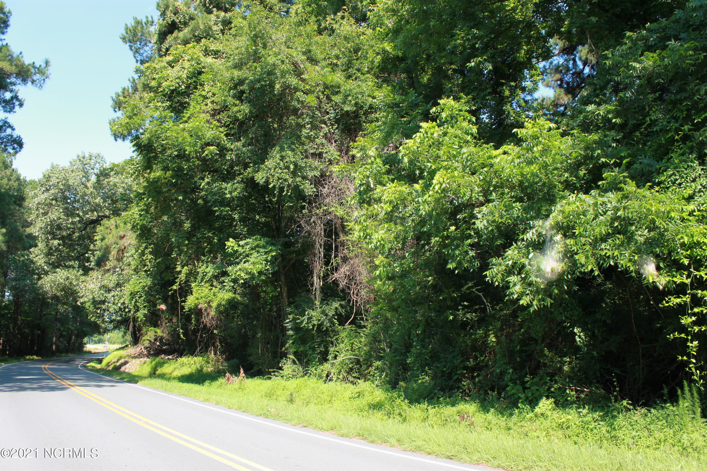 9343 Red Hill Road Clarkton, NC 28433 - Photo 5 of 11 IMG_1648