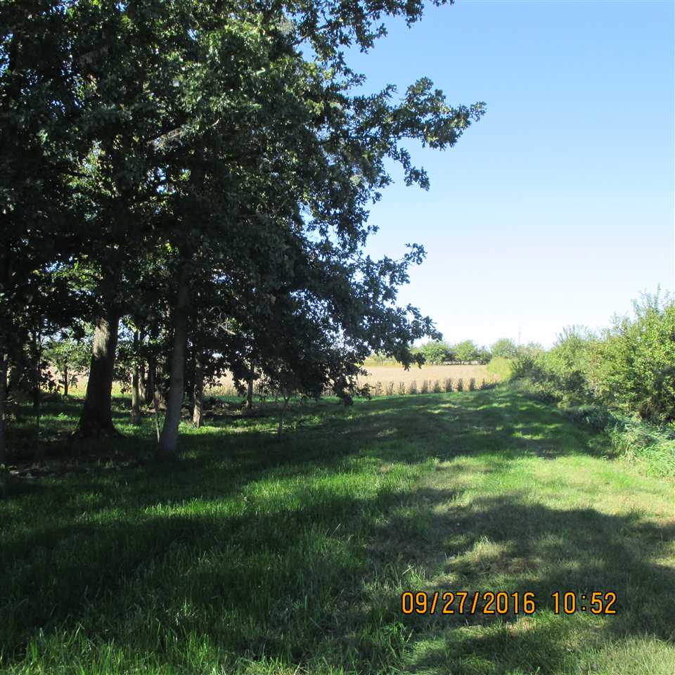 4210 North Meridian Road Reynolds, IN 47980 - Photo 3 of 6