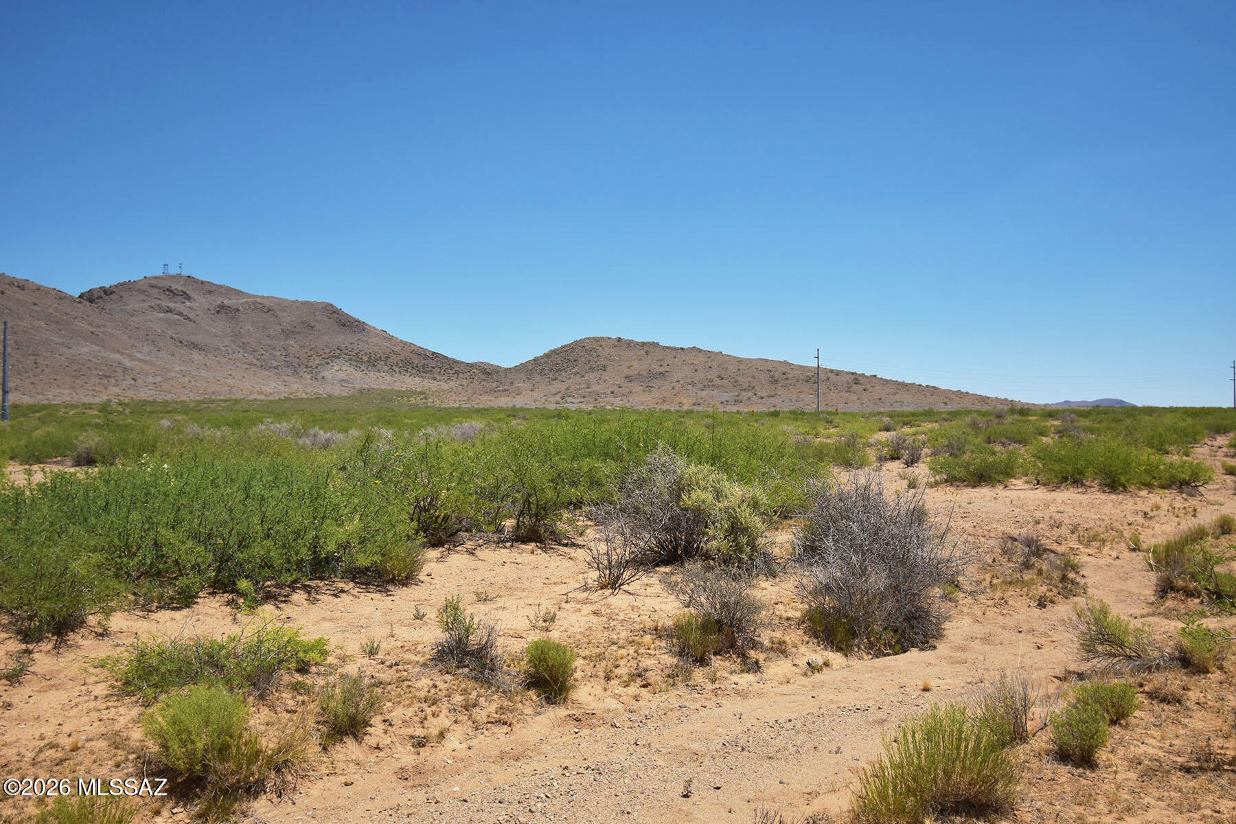 5-acres North Round Up Road, Unit 431 Willcox, AZ 85643 - Photo 13 of 23