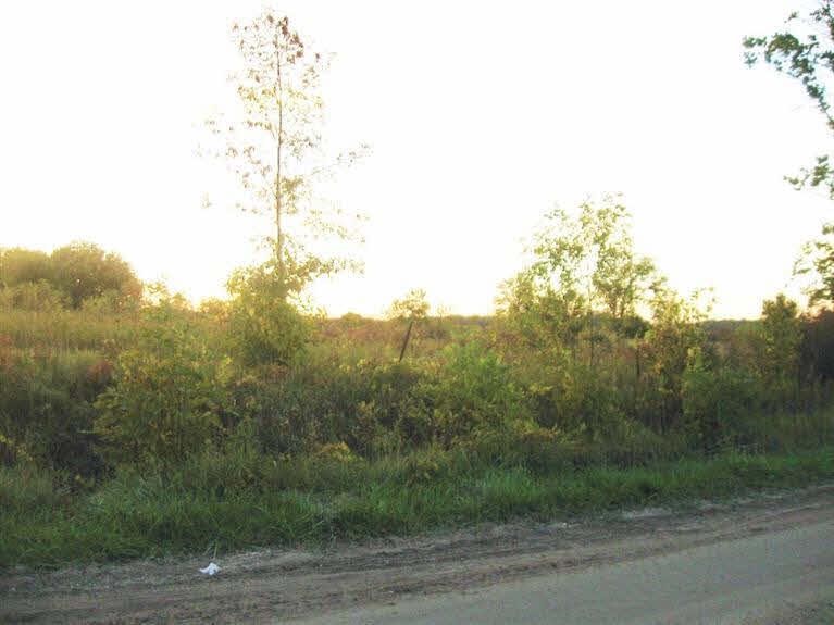 0 Nichols Road Gaines, MI 48436 - Photo 1 of 1