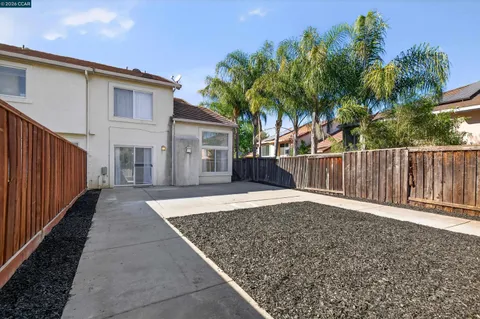 a backyard of a house with palm tree