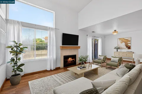 a living room with furniture a fireplace and a potted plant