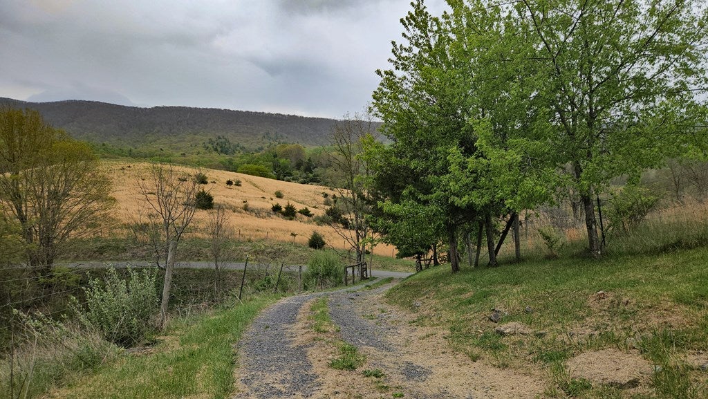 2241 Skydusky Road Bland, VA 24315 - Photo 41 of 42 Gallery Image 41