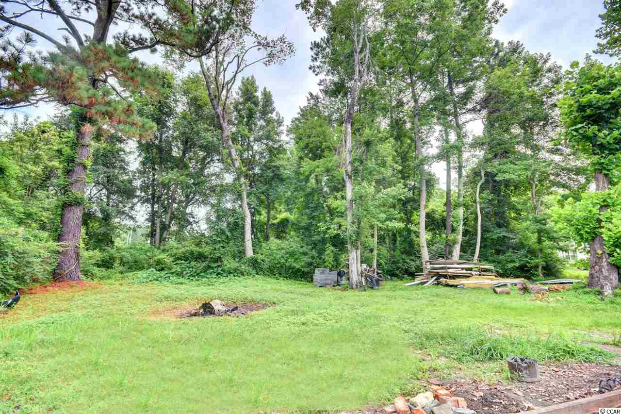 1028 Dirty Branch Road Conway, SC 29527 - Photo 23 of 24 Gallery Image 23