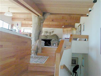 160 Bluff Reach The Sea Ranch, CA 95497 - Photo 6 of 8 Charm. Note driftwood tree.