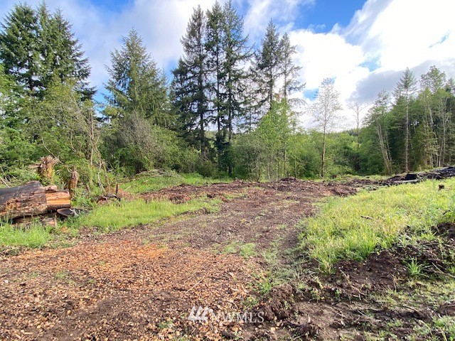 A Ramsaur Road Centralia, WA 98531 - Photo 14 of 18 Gallery Image 14
