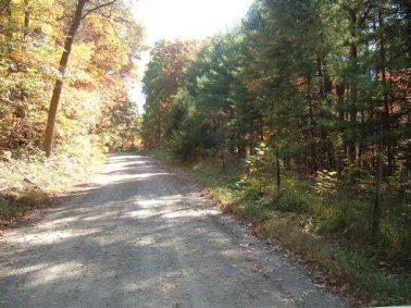 Lot 2 Blue Bend Road Rocky Mount, VA 24151 - Photo 4 of 6 a view of outdoor space and yard