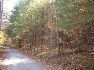 Lot 2 Blue Bend Road Rocky Mount, VA 24151 - Photo 6 of 6 a view of a forest with trees in the background