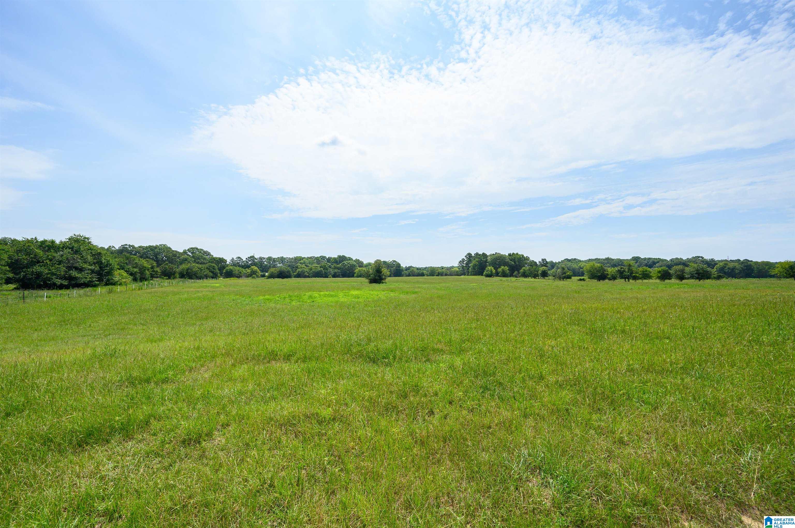 1498 Sun Valley Road Harpersville, AL 35078 - Photo 20 of 35