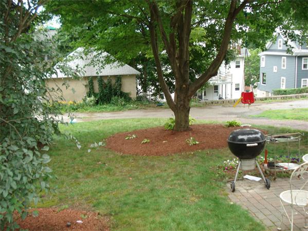 19 Farmer Road Arlington, MA 02476 - Photo 13 of 15
