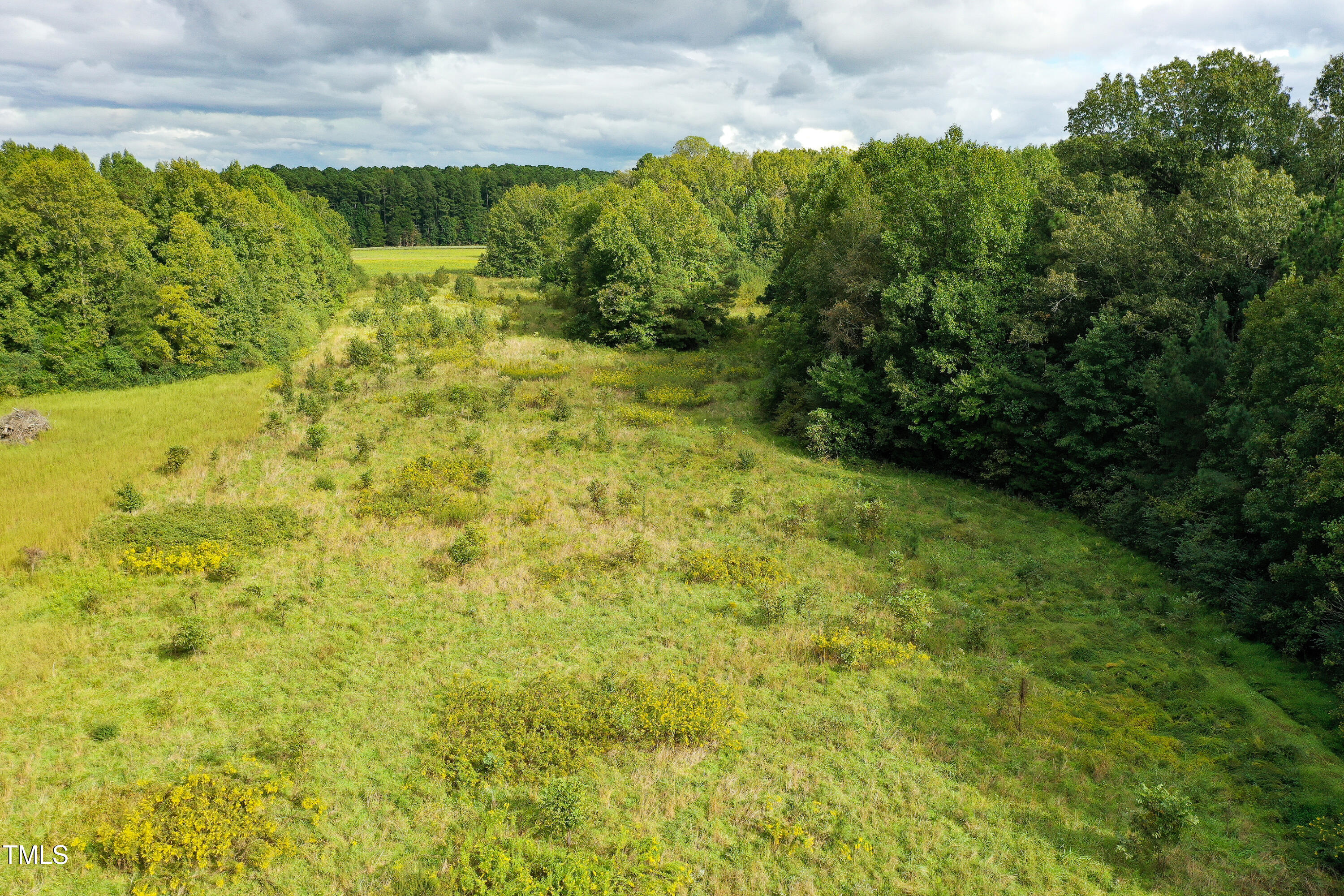 39.8-acres Rick Boone Road Castalia, NC 27816 - Photo 22 of 35 22