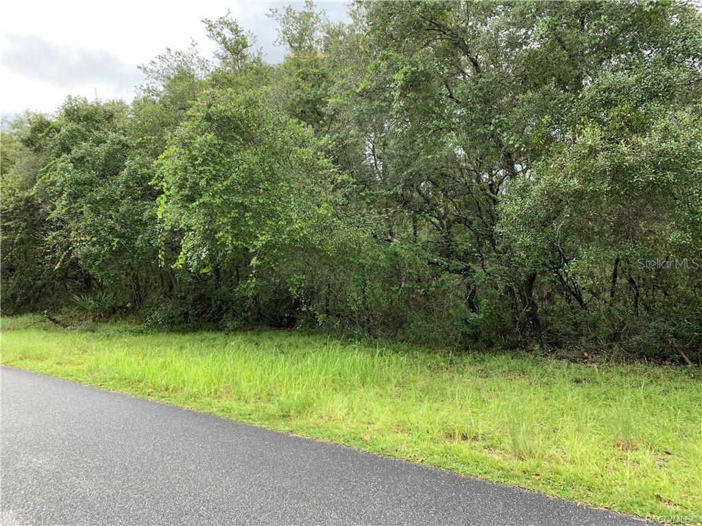 8 Southwest 166th Pl Road Ocala, FL 34473 - Photo 1 of 1 a view of a yard with a trees