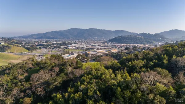 a view of a lush green hillside and houses